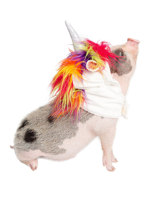 National Unicorn Day is April 9