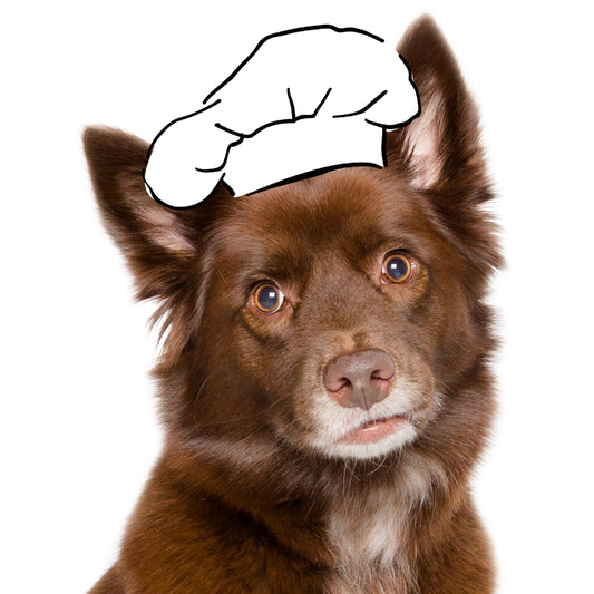 Chef Kota's Festivus Dog Cookies