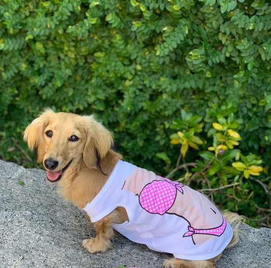 dachshund in bikini costume