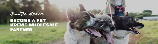 Unlock New Revenue with Pet Krewe Wholesale