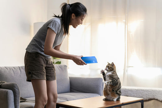 Homemade Cat Treats for Picky Eaters (The Salty Cat Way!)