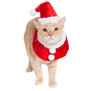 Santa Hat and Collar Cat Costume
