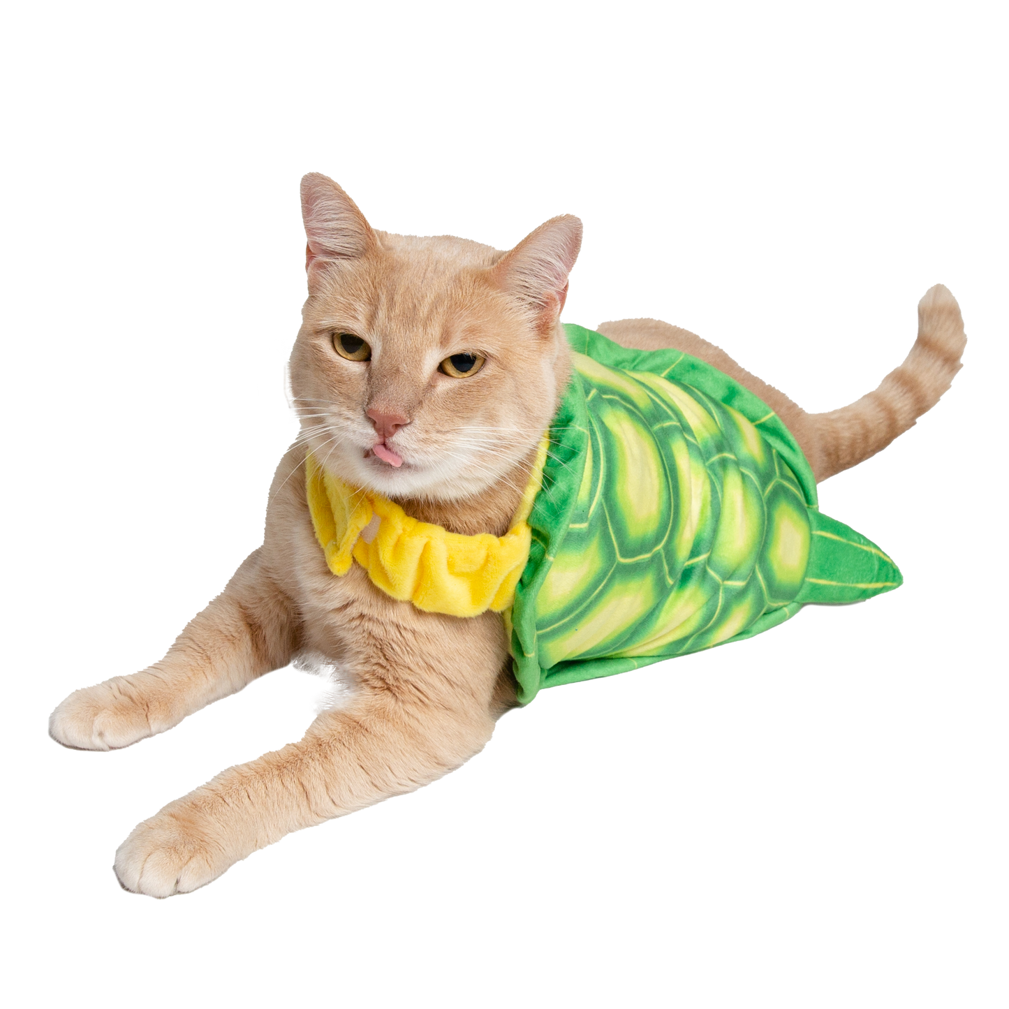 Turtle Cat Costume