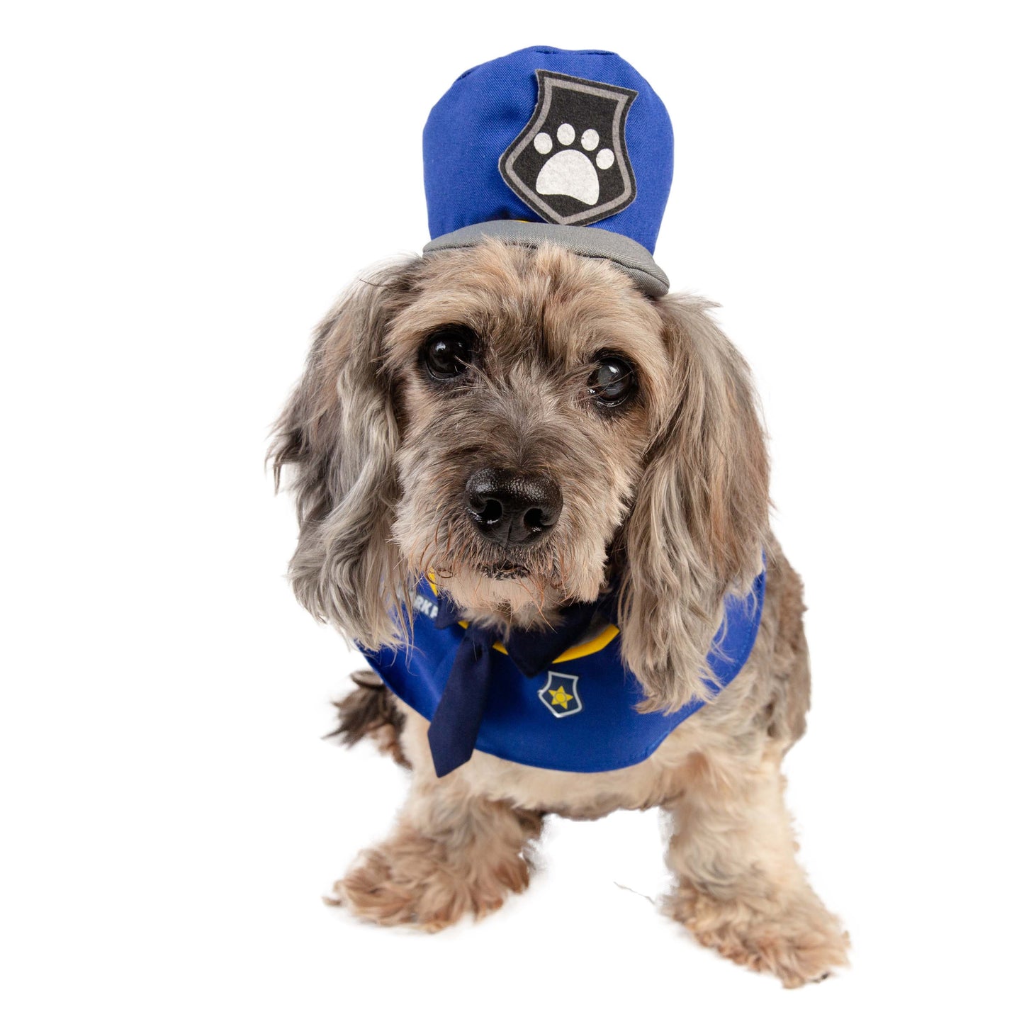 B.A.R.K Police