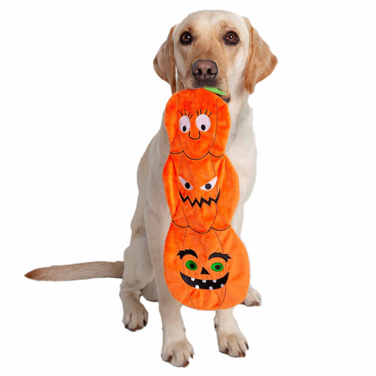 Large Flattie 3 Pumpkin Dog Toy