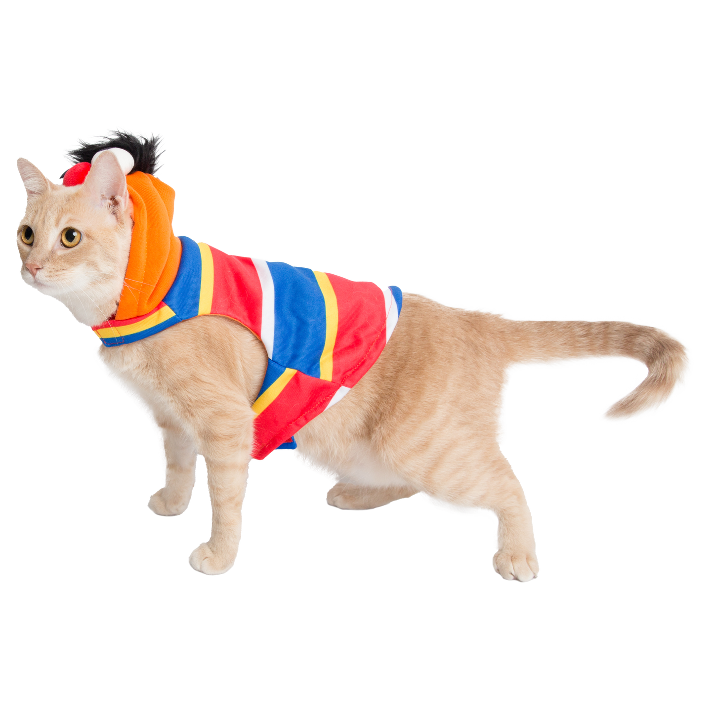 Sesame Street Ernie Cat Hoodie