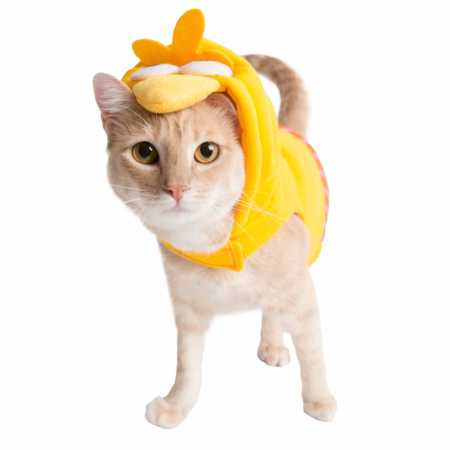 Sesame Street Big Bird Cat Hoodie