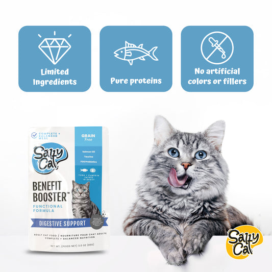 Salty Cat Benefit Booster Digestive Support Tuna & Pumpkin Entrée in Gravy, 40g x 12 Pouches – Gut-Health Wet Cat Food Topper with Prebiotics, Omega-3s, and Taurine