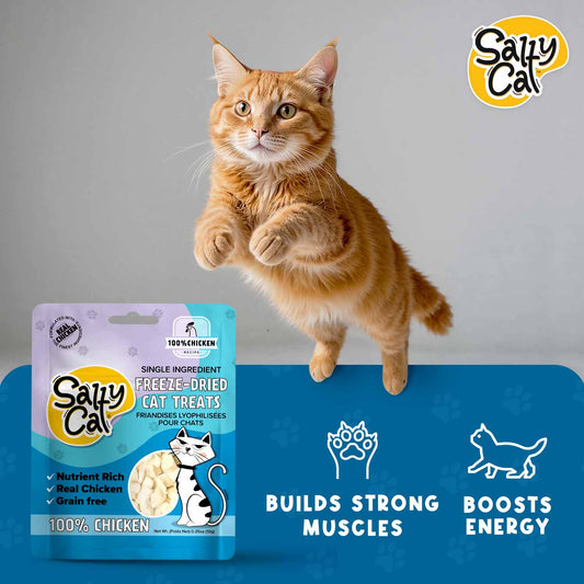 Salty Cat Natural Freeze-Dried Chicken Cat Treats, 10g Bag (12-Pack) – Single Ingredient, High-Protein, Light & Crunchy, Grain-Free