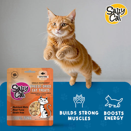 Salty Cat Freeze Dried Tuna Cat Treats 10g Bag (12-Pack) – Single Ingredient, High-Protein, Wild-Caught, Crunchy Texture
