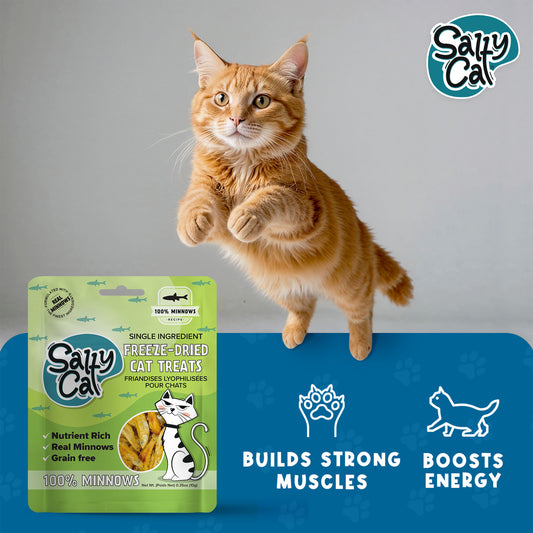 Salty Cat Natural Freeze-Dried Minnow Cat Treats, 10g x 12 Bags – Single-Ingredient, High-Protein Treats