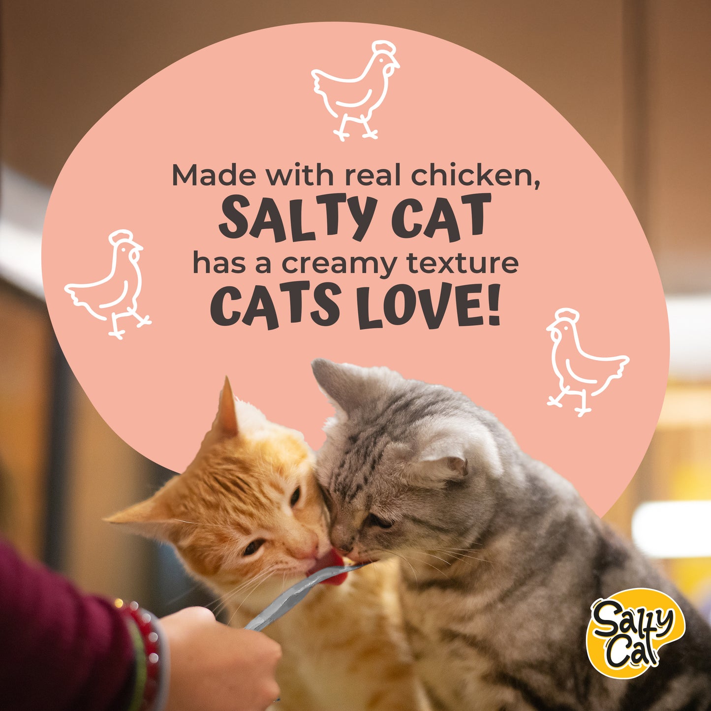 VitaCat by Salty Cat Happy Tummy Natural Creamy Tuna & Chicken Functional Tube Treats for Cats, 15g x 48 Tubes – Digestive Support with Prebiotics, Hydrating