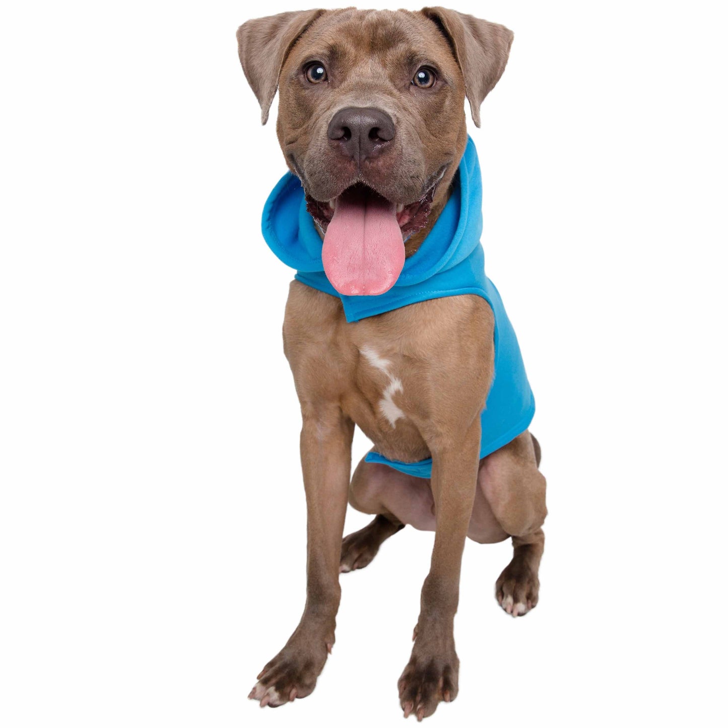 Sesame Street Pet Hoodies