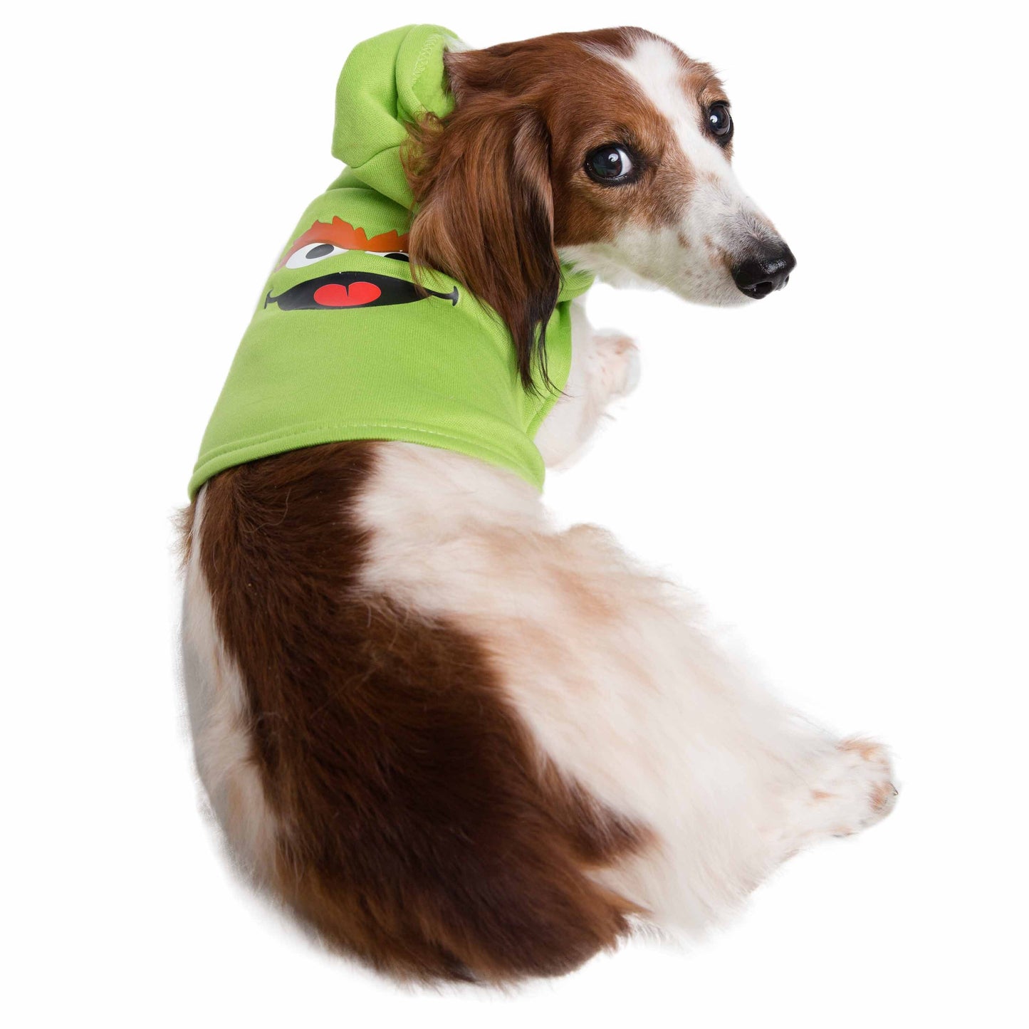 Sesame Street Pet Hoodies