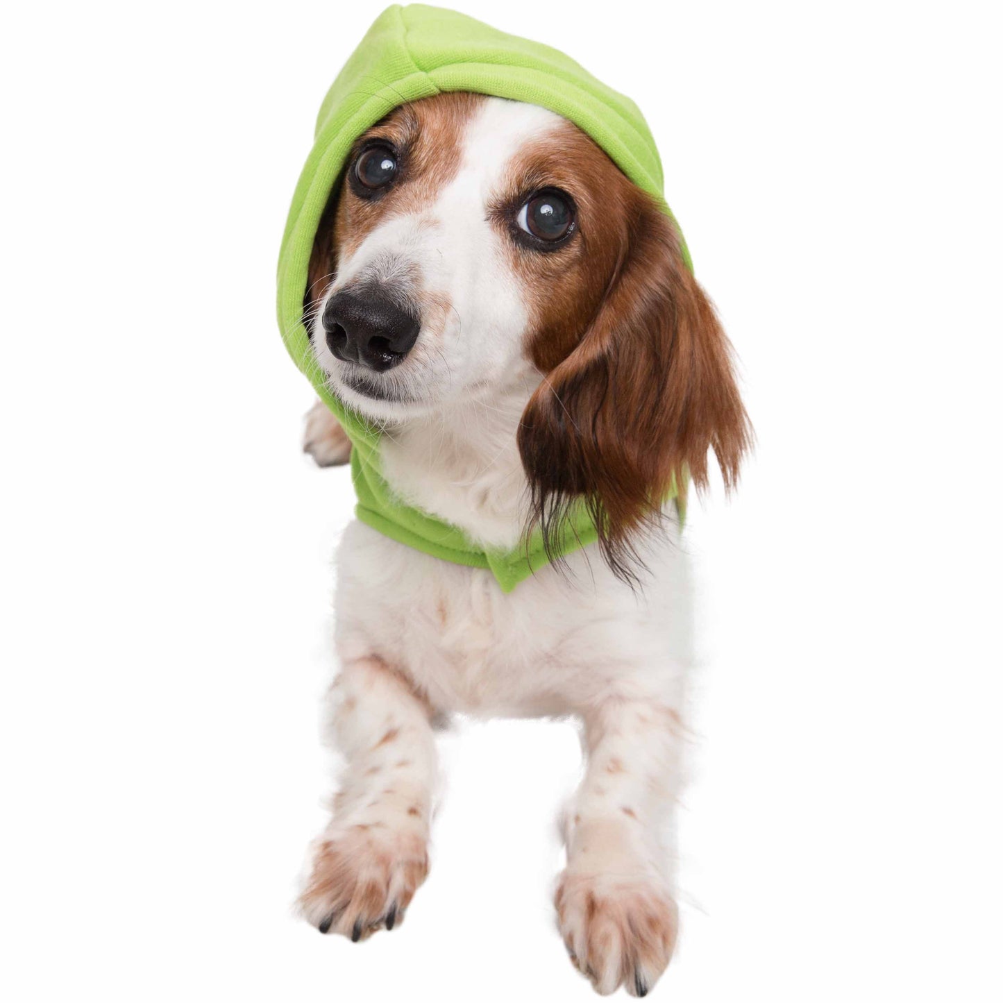 Sesame Street Pet Hoodies