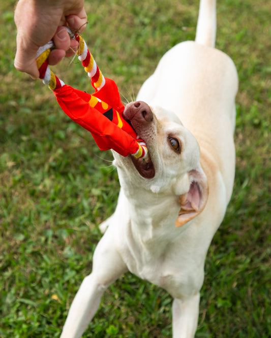 Elmo Dog Frisbee