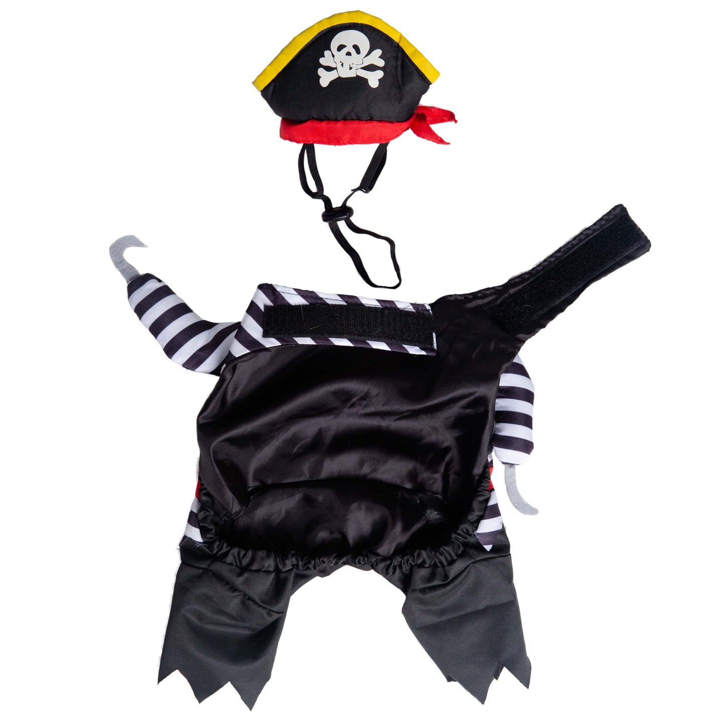 dog pirate costume