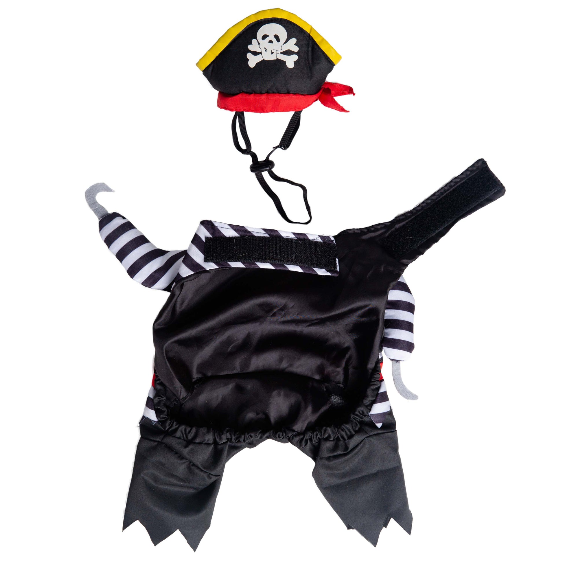 dog pirate costume