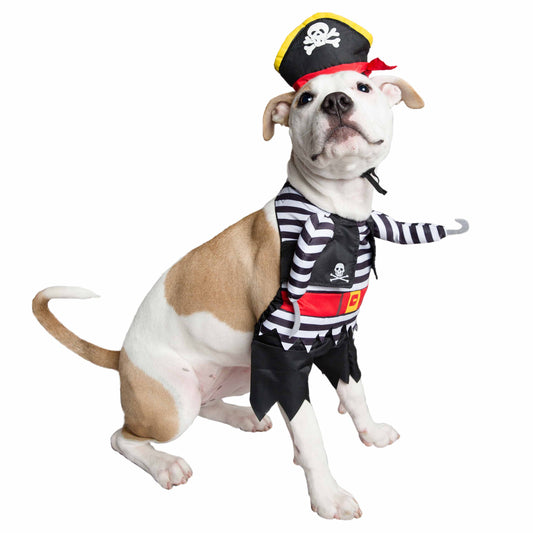 dog pirate costume