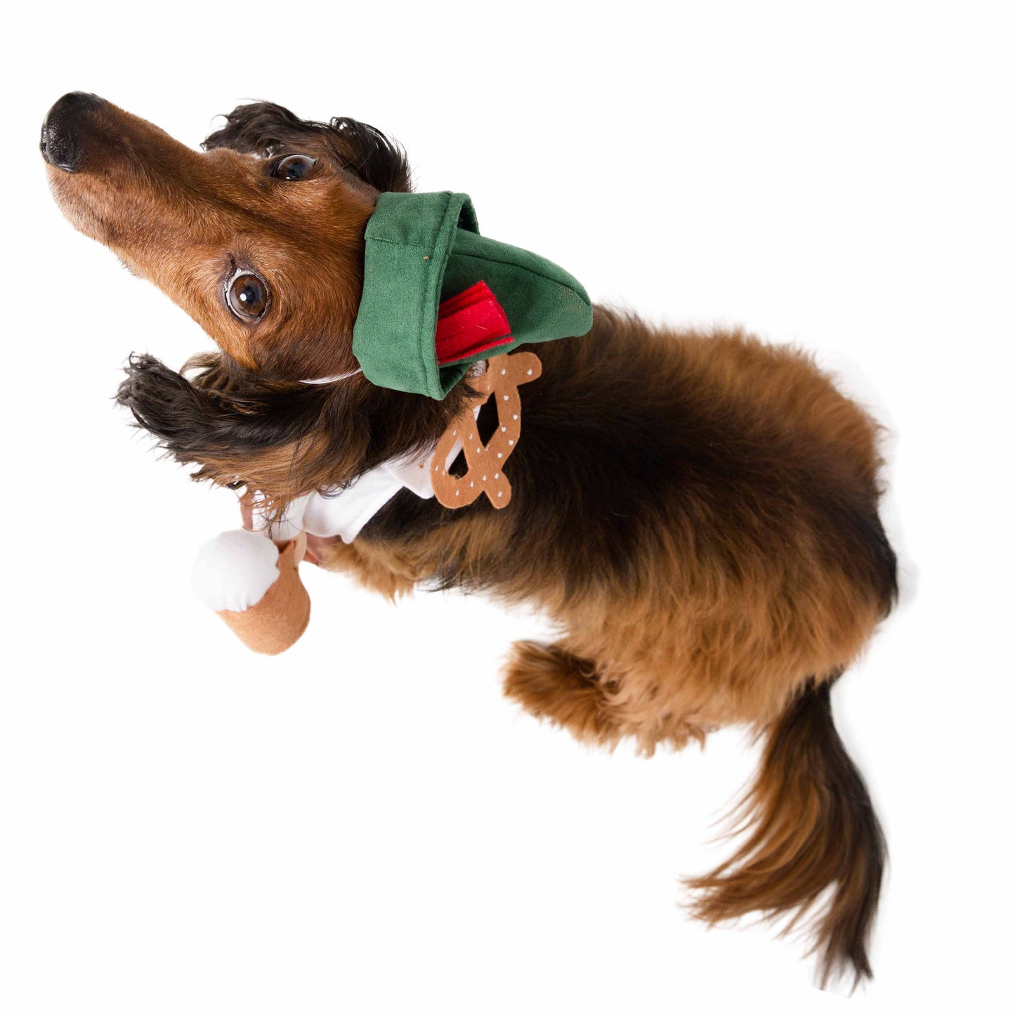 German Oktoberfest Dog Costume