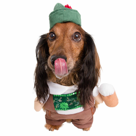 Dachsund in a traditional German Oktoberfest costume with a hat