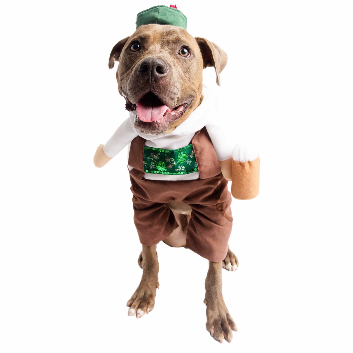 German Oktoberfest Dog Costume