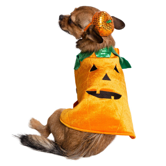 Halloween Pumpkin Dog Costume