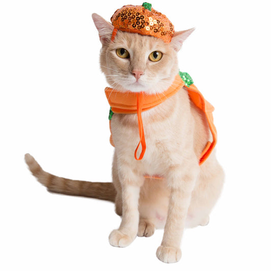 Halloween Pumpkin Cat Costume