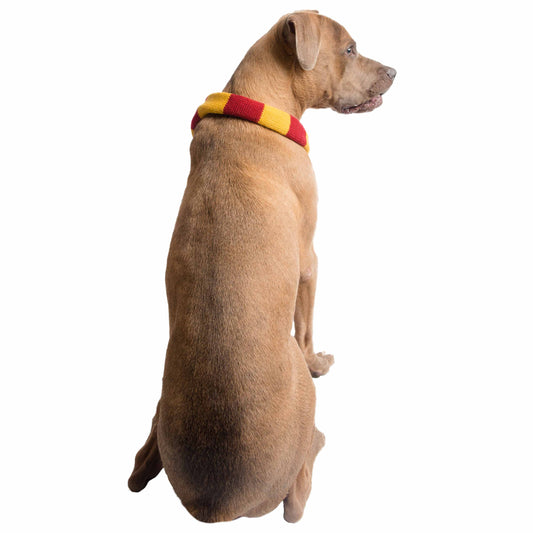 Hipster Wizard Striped Dog Scarf