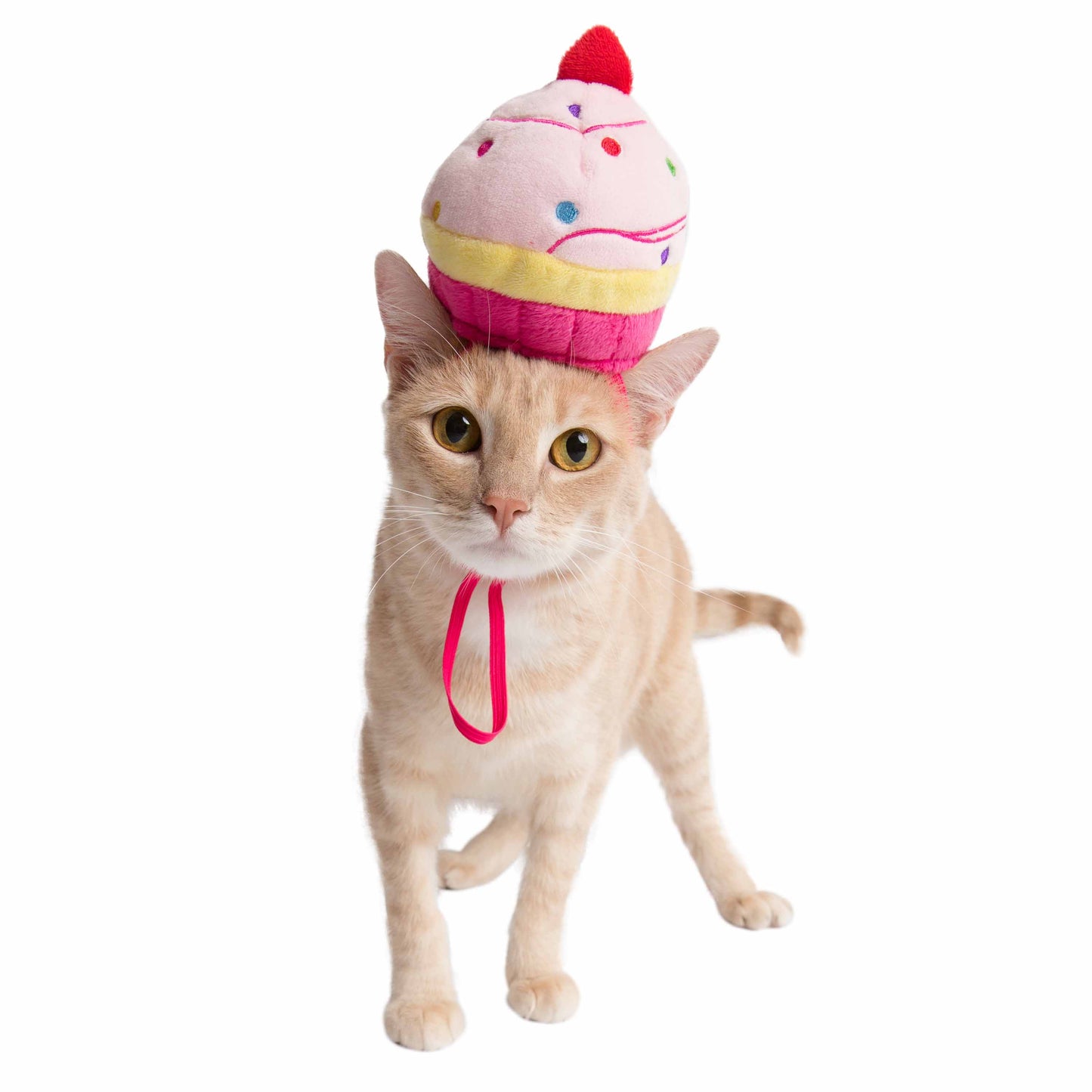 Cupcake Cat Hat