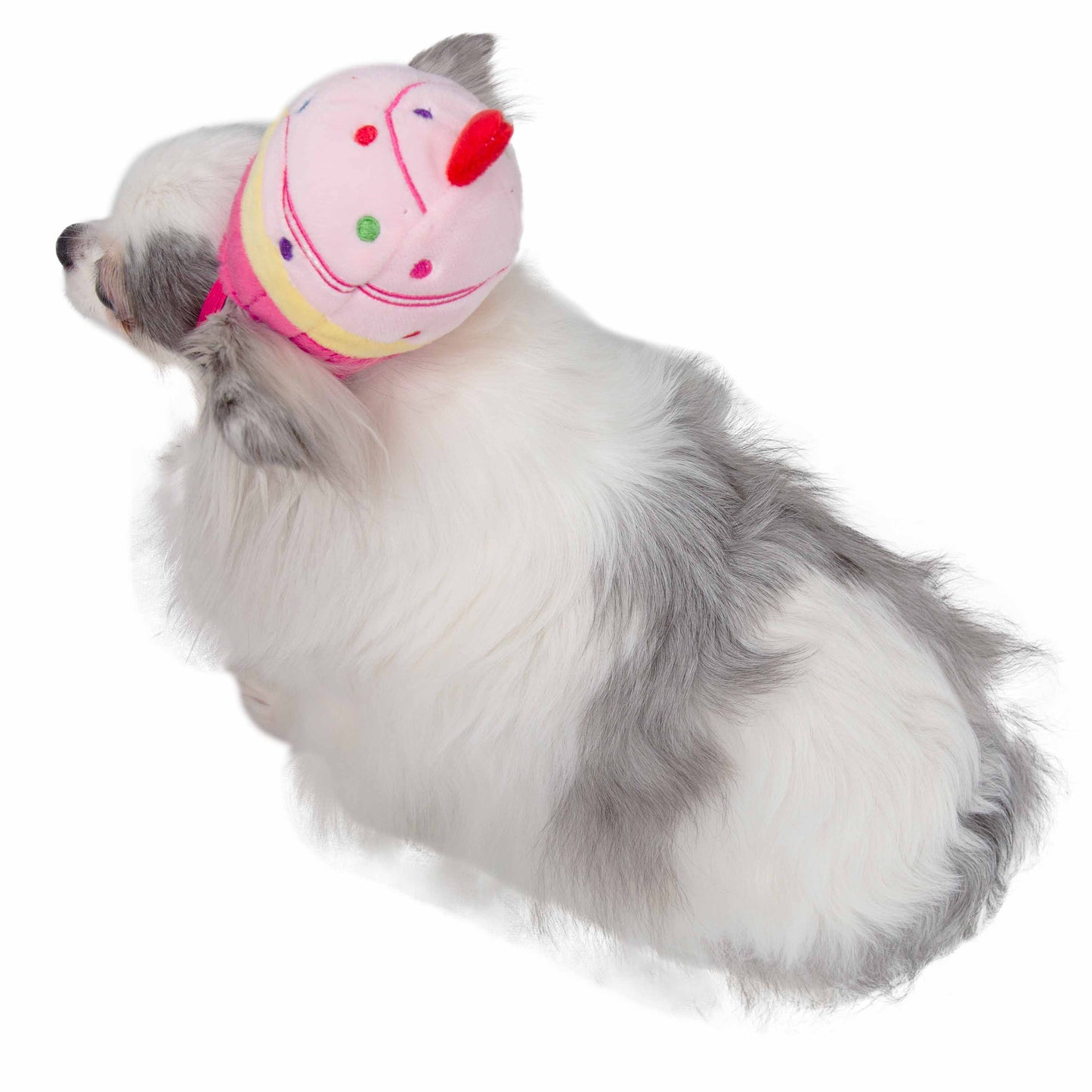 Cupcake Dog Hat