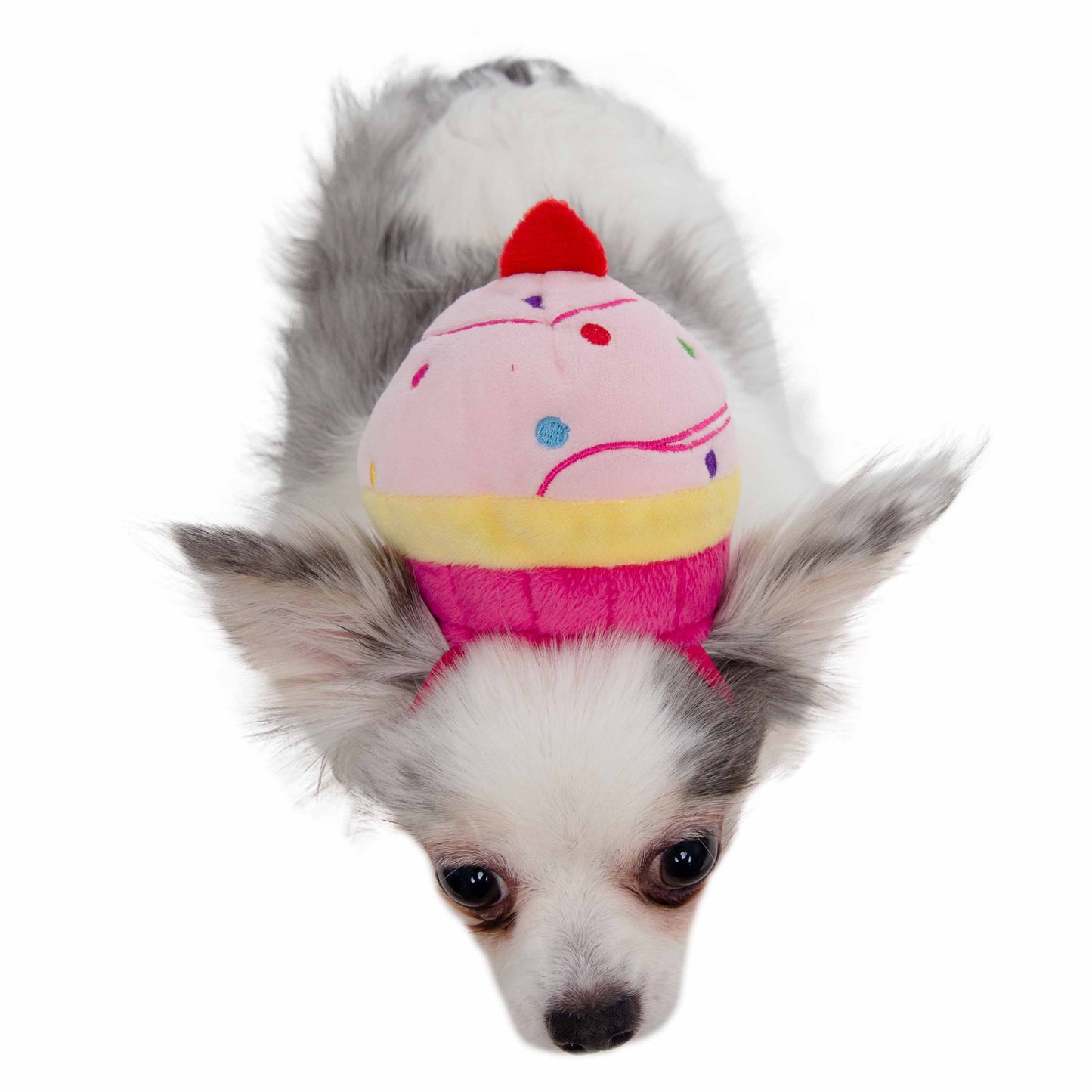 Cupcake Dog Hat