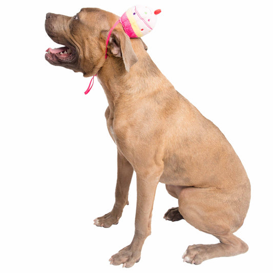 Cupcake Dog Hat
