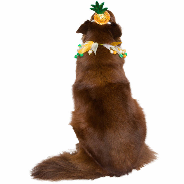 Hula Girl Pet Costume - Medium