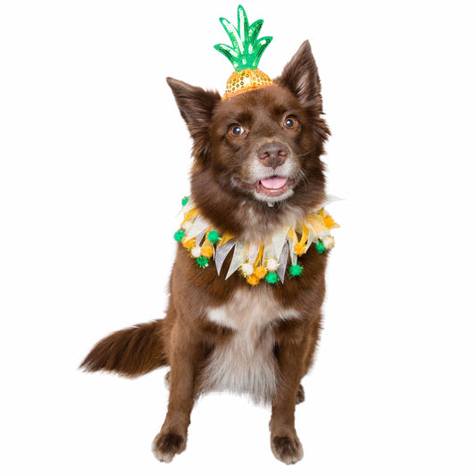 pineapple dog costume