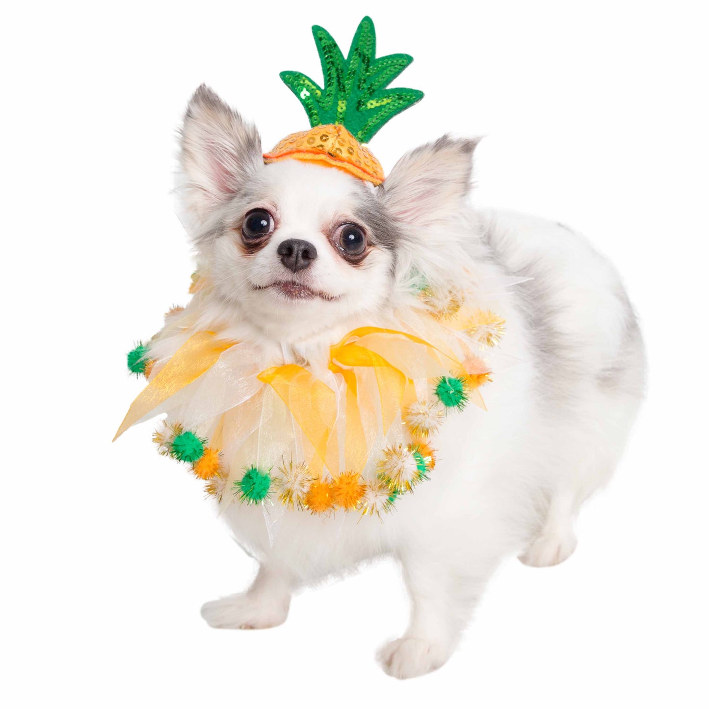 dog costumes for small dogs pineapple