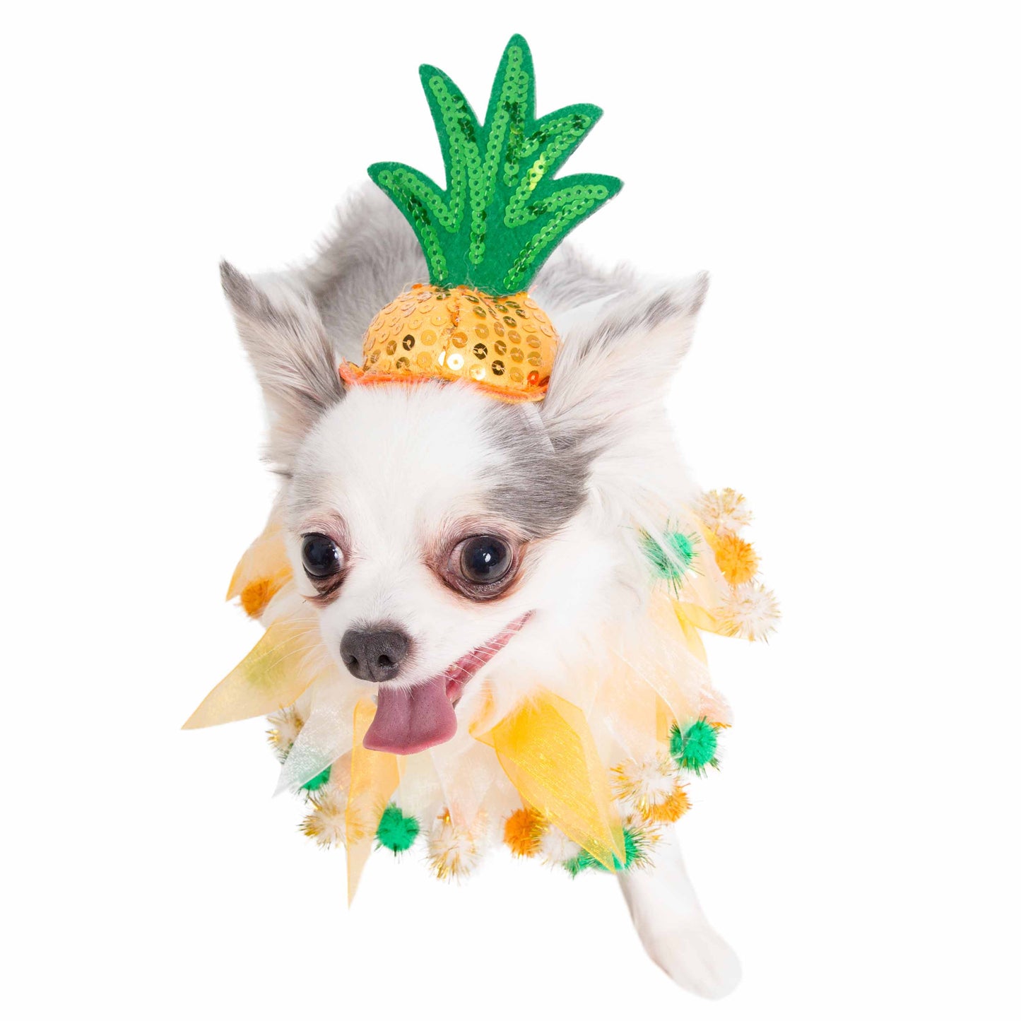 dog costumes for small dogs pineapple