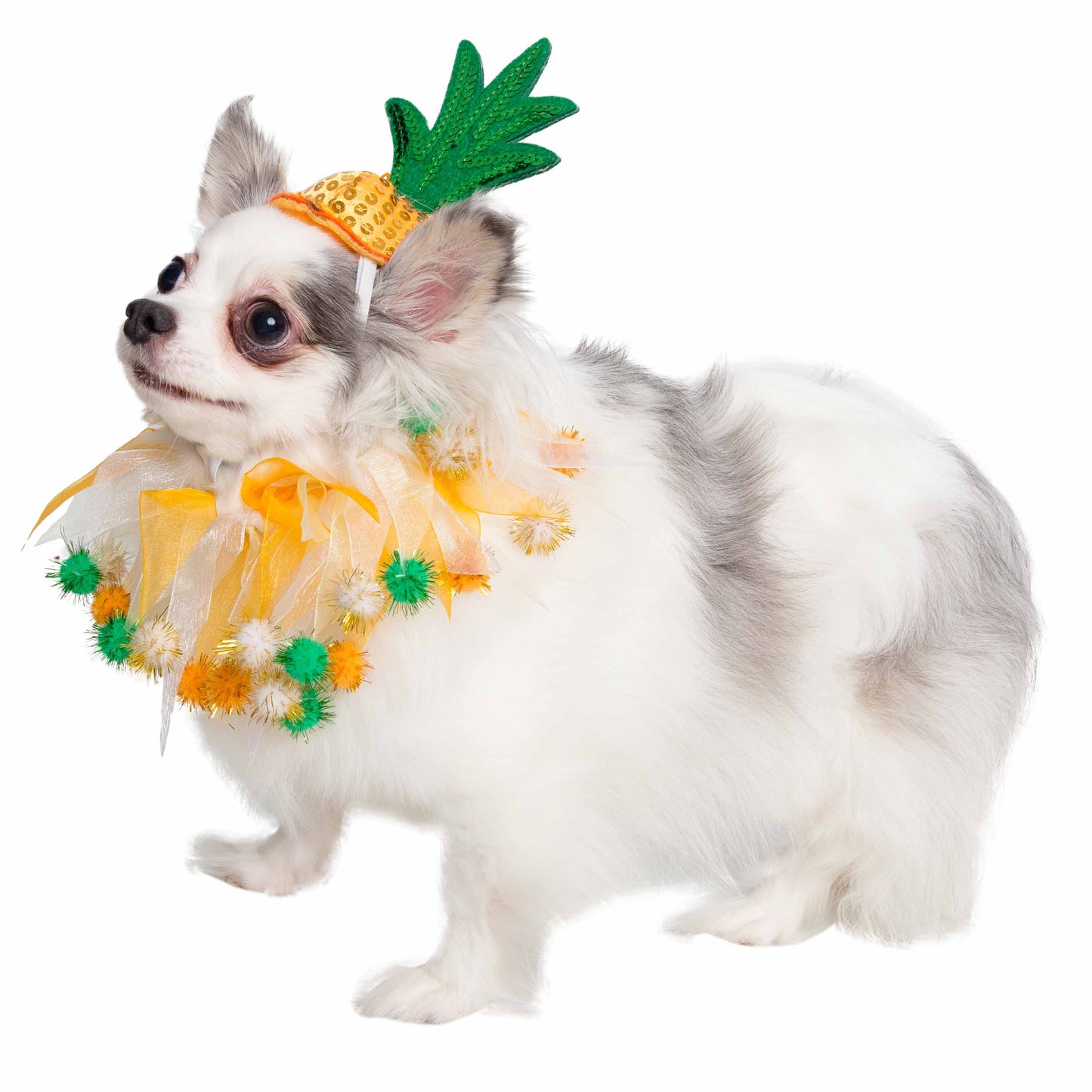 dog costumes for small dogs pineapple