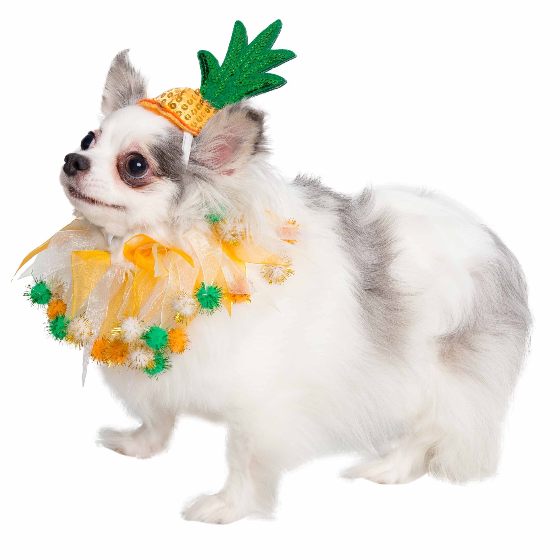 dog costumes for small dogs pineapple