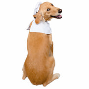 chef costume dog