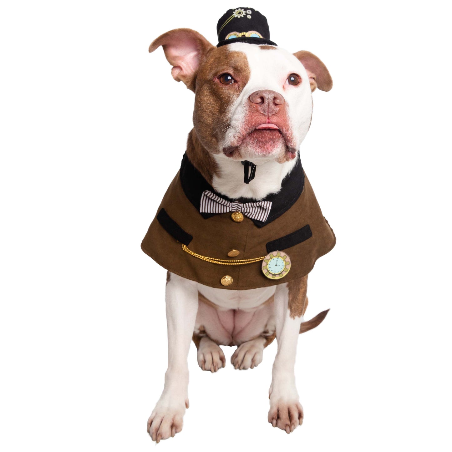 Steam Punk Hat and Collar Dog Costume
