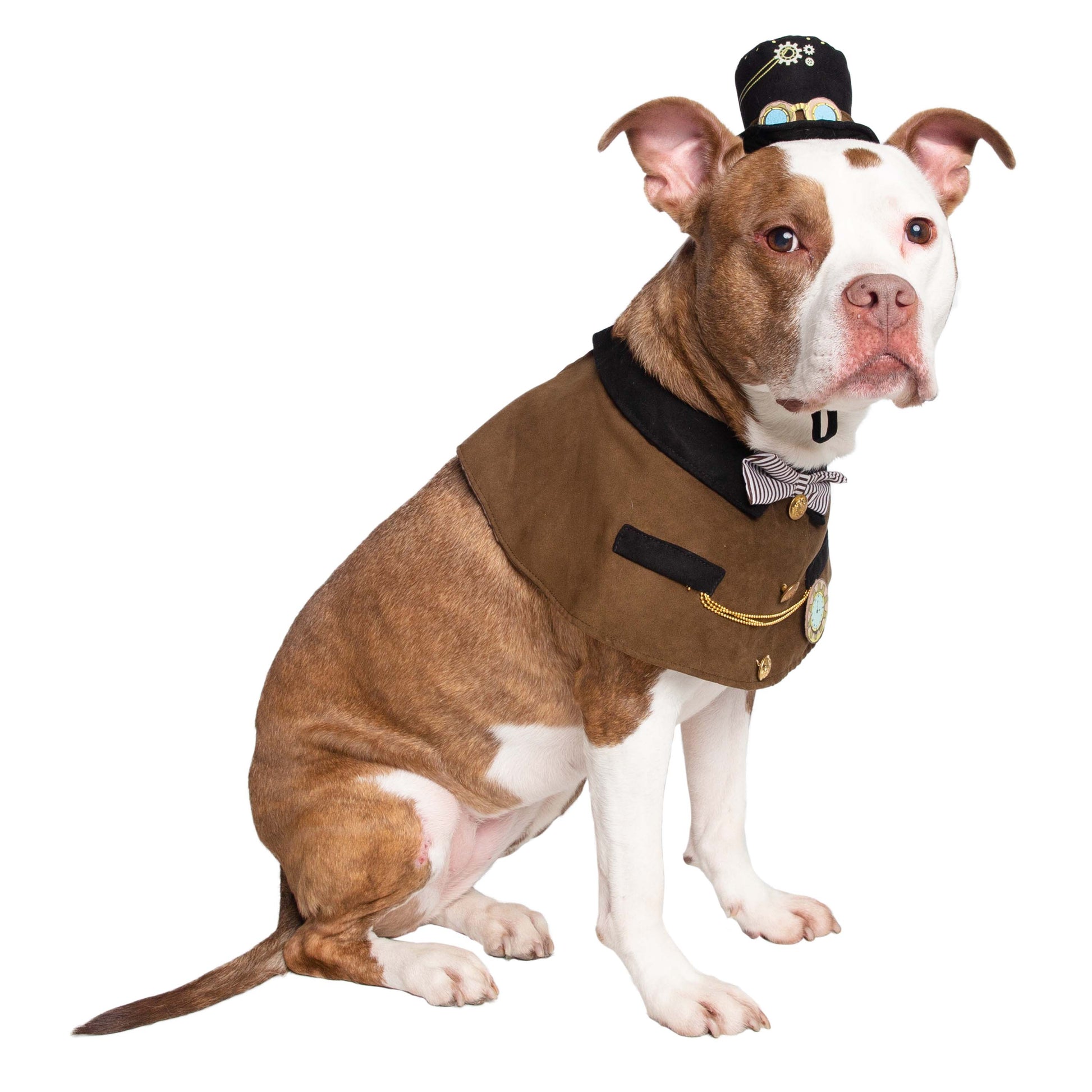 Steam Punk Hat and Collar Dog Costume