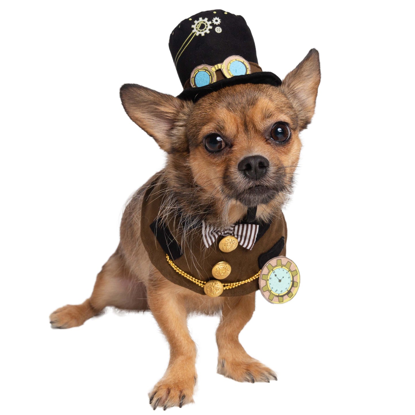 Steam Punk Hat and Collar Dog Costume