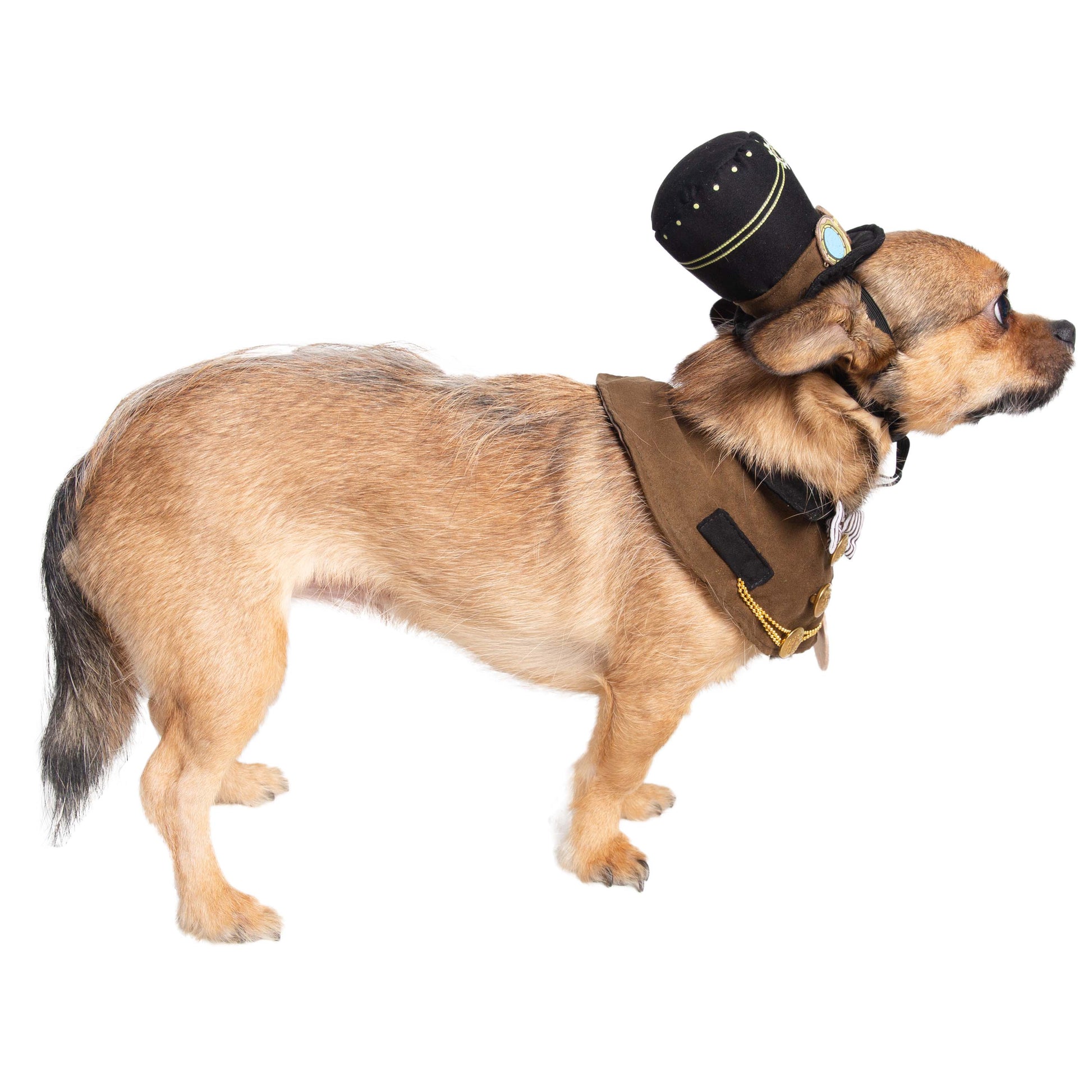 Steam Punk Hat and Collar Dog Costume