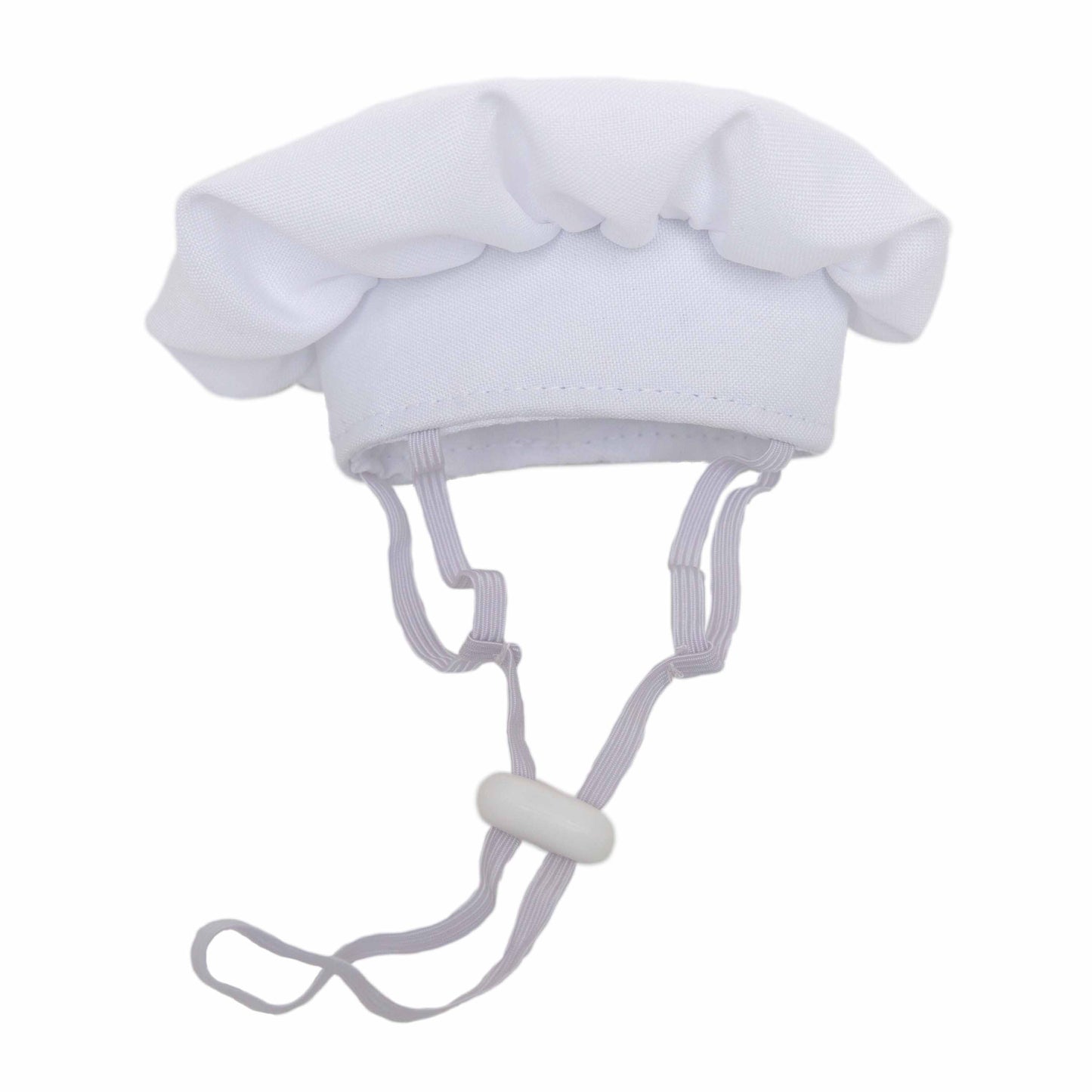 dog chef hat