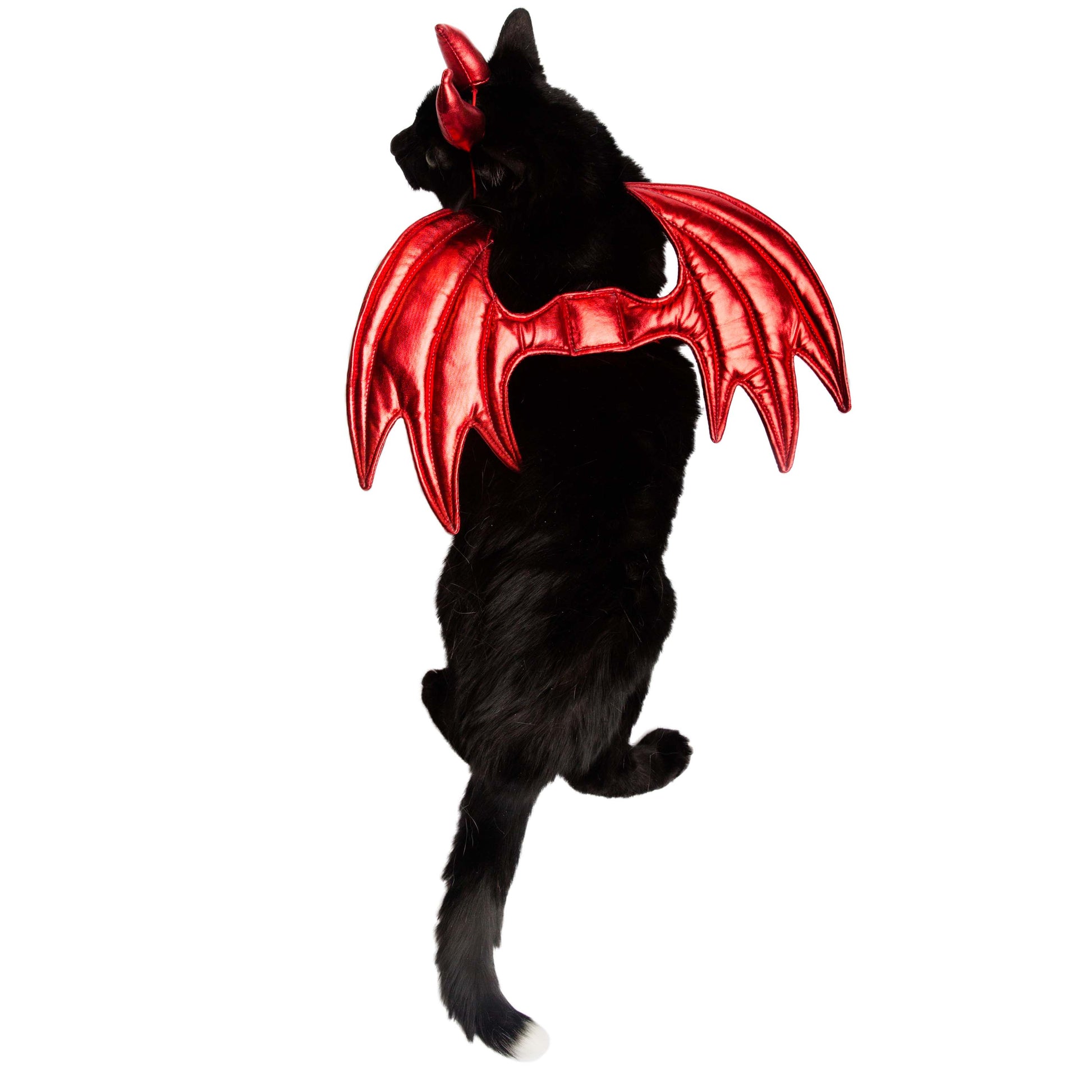 devil cat costume