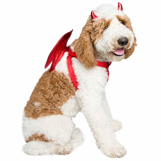 devil dog costume