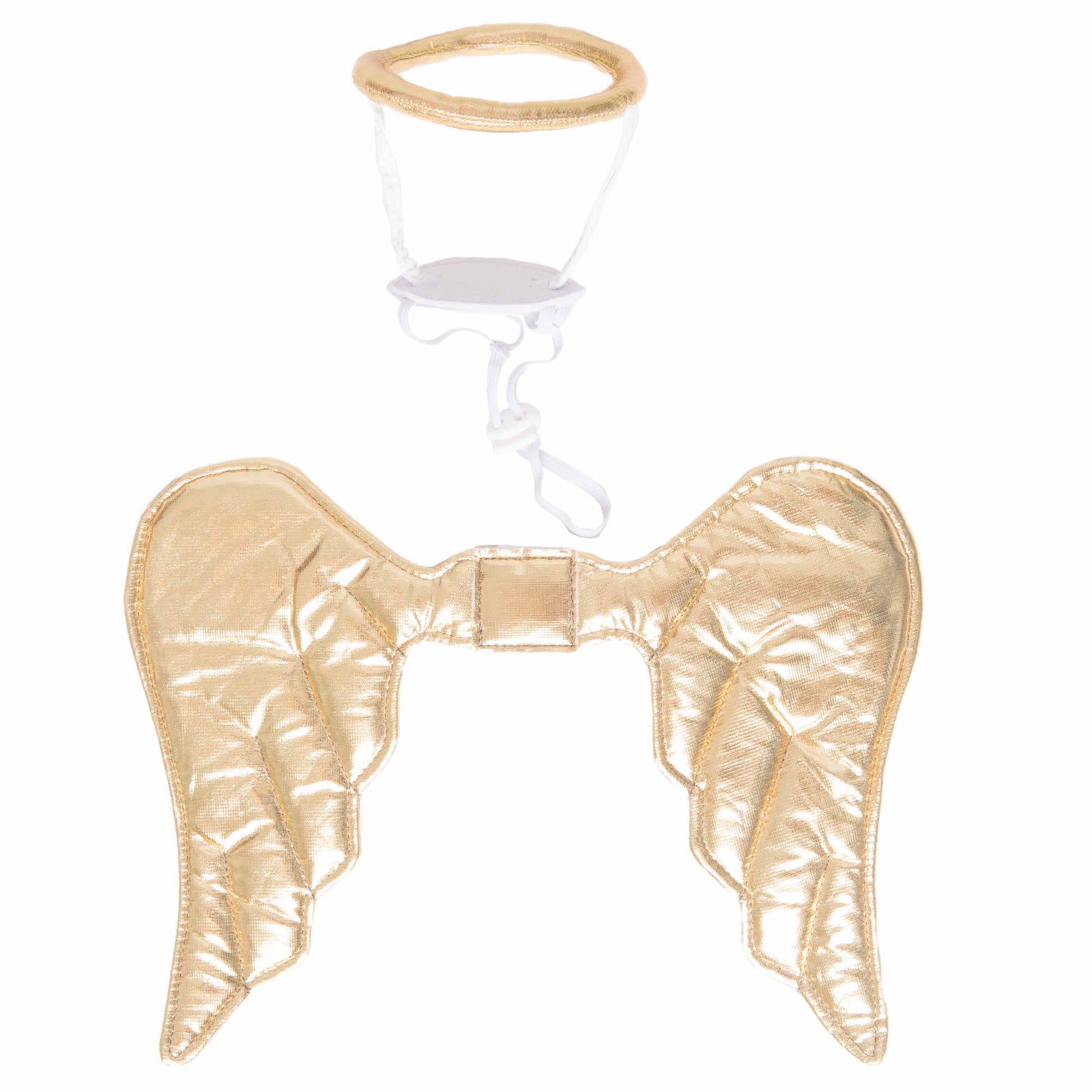 angel dog costume