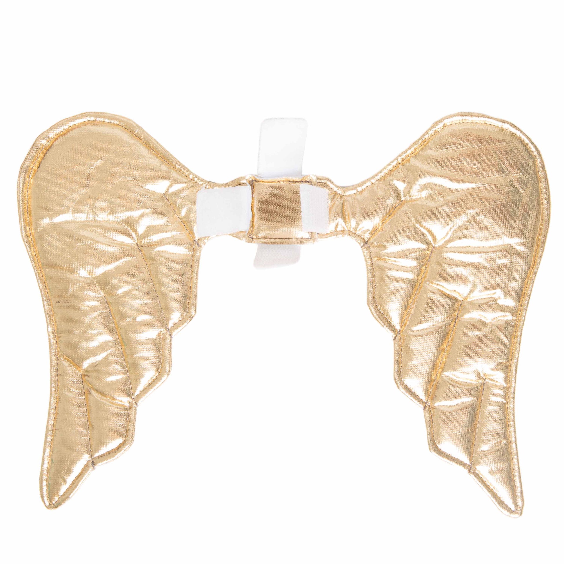 angel dog costume