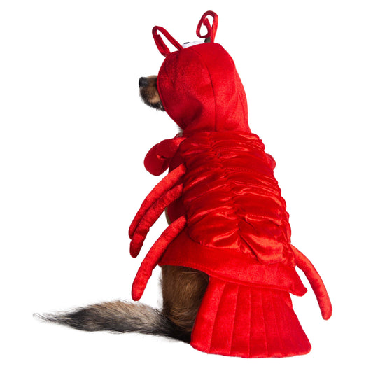 lobster dog costumes
